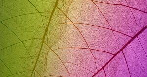 BotMasterAI è Silver Sponsor di Utility Day 2025